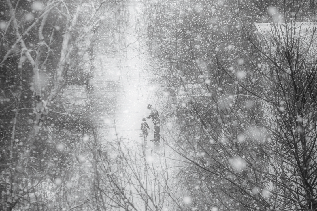 Day 241 of a World of Light