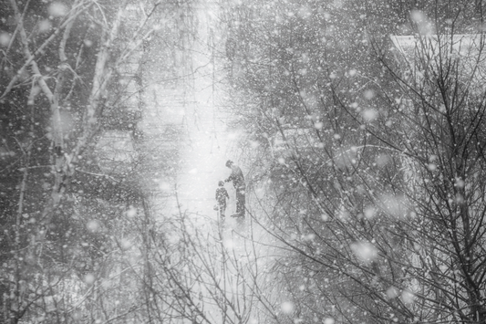 Day 241 of a World of Light