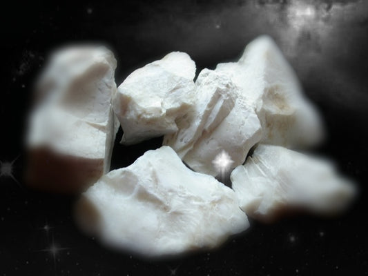 White Lioness Star Song