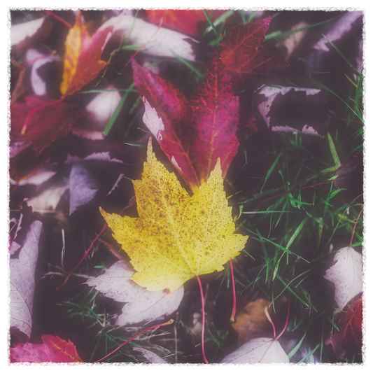 The fall of creativity