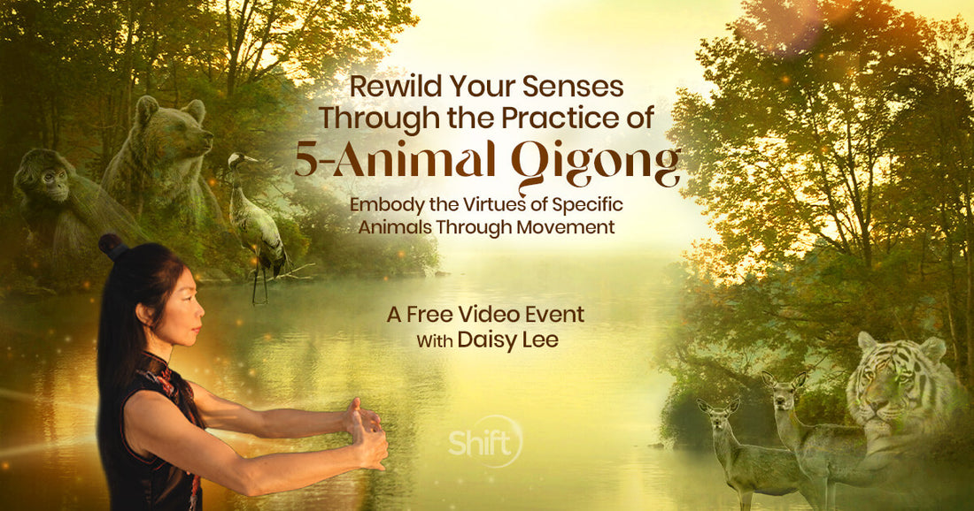 5 Animal Qigong with Daisy Lee