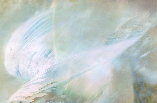 Angel's Embrace Star Song