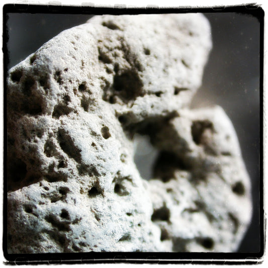 Holey-ness Star Song