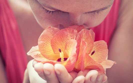 Feeling Scent