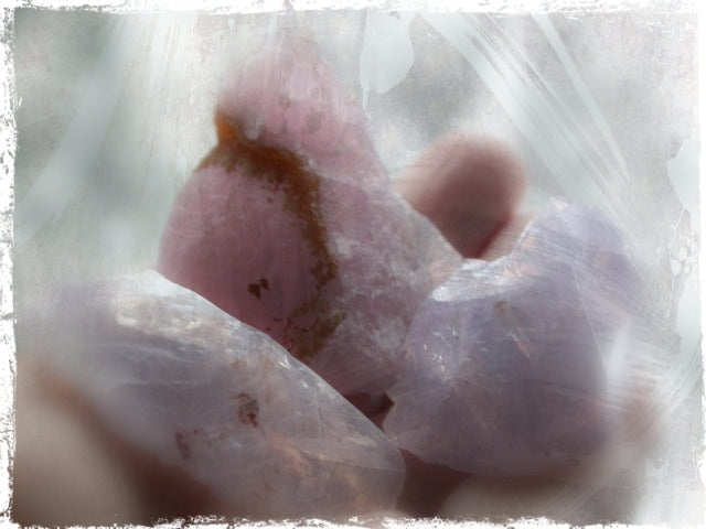Violet Rose Star Song