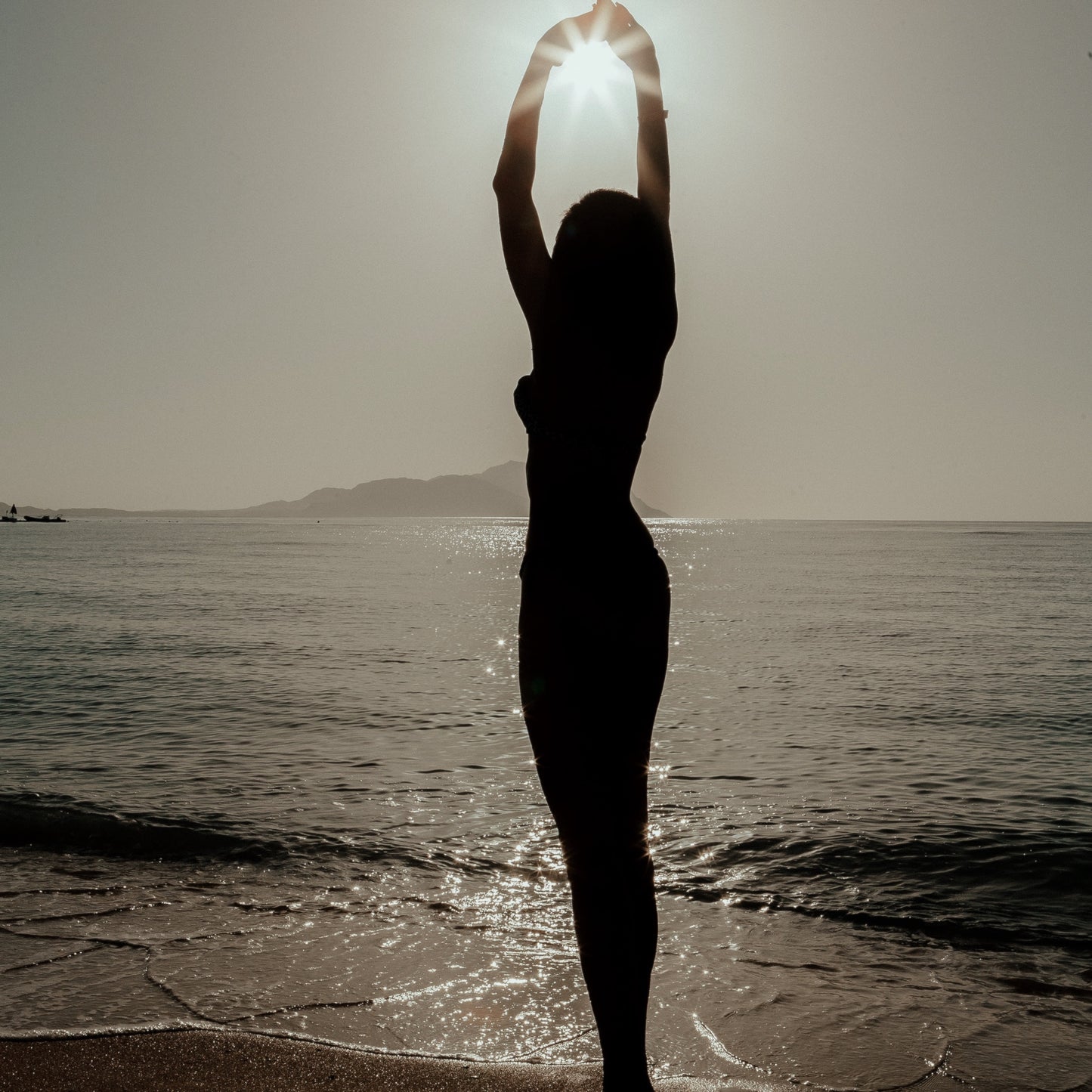 fire ... Soul Sync Mentorship